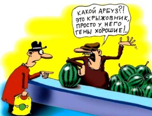 Фотография. Не кликабельно. Арбуз и крыжовник.