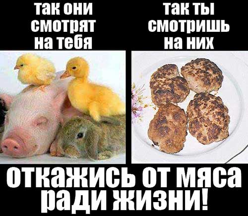 Фотография. Не кликабельно. Данный вопрос рассматривается с моральной и физиологической точки зрения.