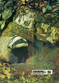Юный натуралист №09/1975 — обложка журнала.