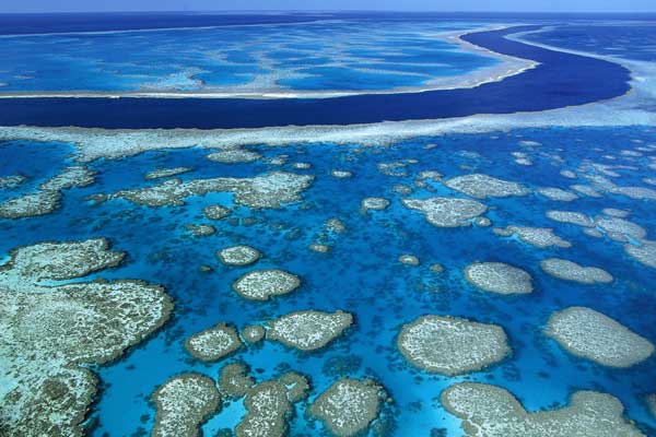 Большой Барьерный риф обязательно нужно посетить, будучи в Австралии.