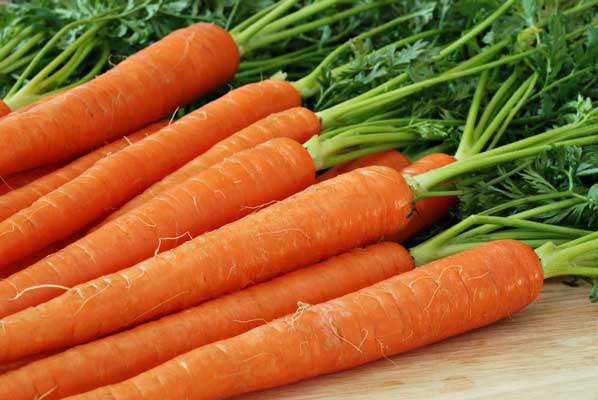 Разнообразие биохимического состава моркови обуславливает ее пищевую ценность.