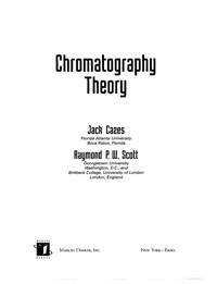 Chromatography Theory — обложка книги.