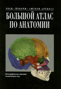 Большой атлас по анатомии — обложка книги.