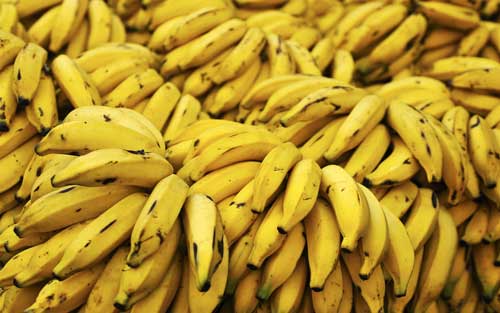Бананы являются одним из самых популярных видов фруктов на нашем рынке.