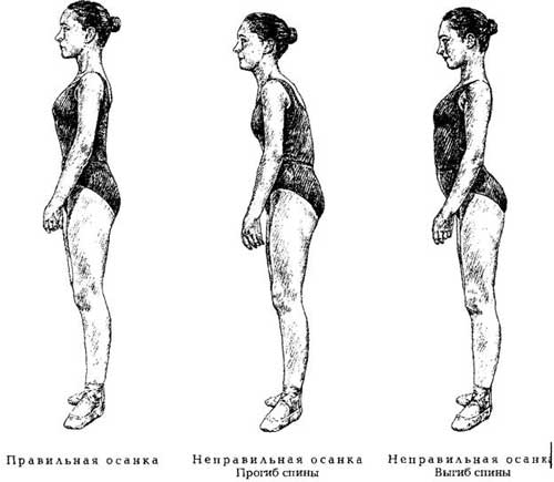 Фотография. Не кликабельно. Несколько килограммов и стройнит визуально правильная осанка.