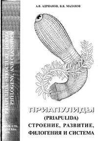 Приапулиды (Priapulida): строение, развитие, филогения и система — обложка книги.