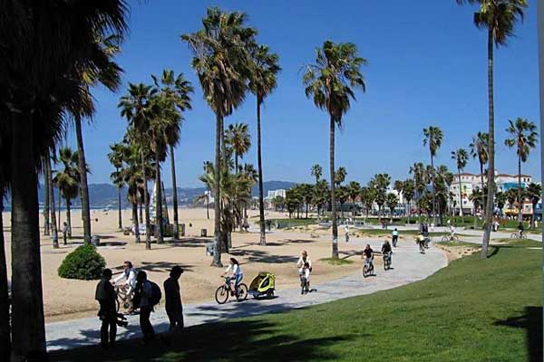 Фотография. Не кликабельно. Одним из самых удобных пляжей является Venice Beach.