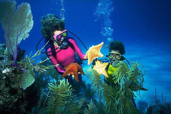 Для своих путешествий дайверы выбирают теплые моря с коралловыми рифами.