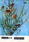 Юный натуралист №01/1977 — обложка книги.