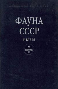 Фауна СССР. Рыбы. Том 5, выпуск 5. Семейство зубаток (Anarhichadidae) — обложка книги.