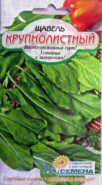 Фотография. Не кликабельно. Один из самых высокоурожайных сортов щавеля