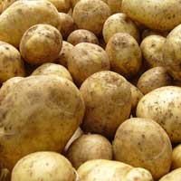 Национальный белорусский продукт.