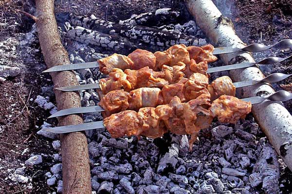 Фотография. Не кликабельно. В силу необузданной жажды вкусить шашлыка вы преодолели пару десятков километров.