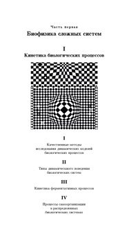 Кинетика биологических процессов. Ч. 2 — обложка книги.