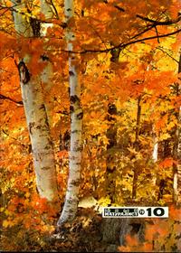 Юный натуралист №10/1973 — обложка журнала.